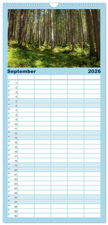 Produktbild: Familienplaner 2026 - B&auml;ume, der Atem der Natur mit 5 Spalten (Wandkalender, 21 x 45 cm) CALVENDO