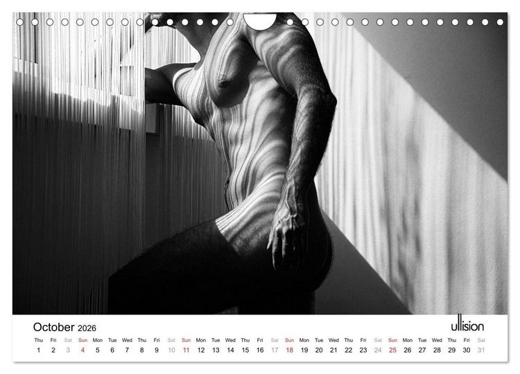 Produktbild: Male Nude Art (Wall Calendar 2026 DIN A4 landscape), CALVENDO 12 Month Wall Calendar