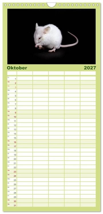 Produktbild: Familienplaner 2027 - S&uuml;&szlig;e M&auml;use und Coole Ratten mit 5 Spalten (Wandkalender, 21 x 45 cm) CALVENDO
