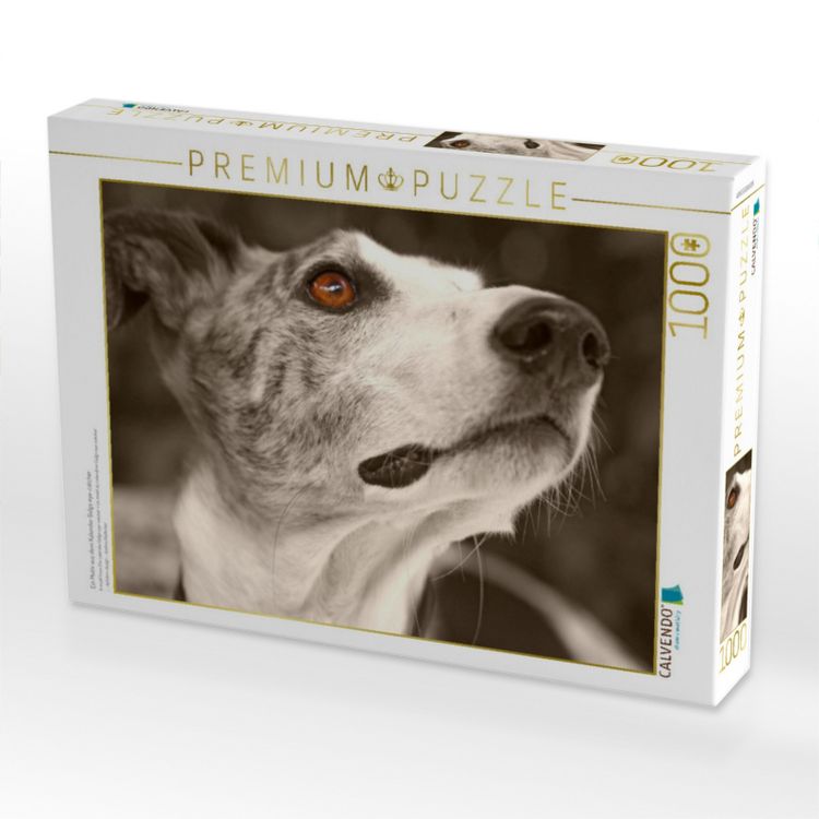 Produktbild: CALVENDO Puzzle Ein Motiv aus dem Kalender Galgo eye-catcher | 1000 Teile Lege-Gr&ouml;&szlig;e 64x48cm Foto-Puzzle f&uuml;r gl&uuml;ckliche Stunden