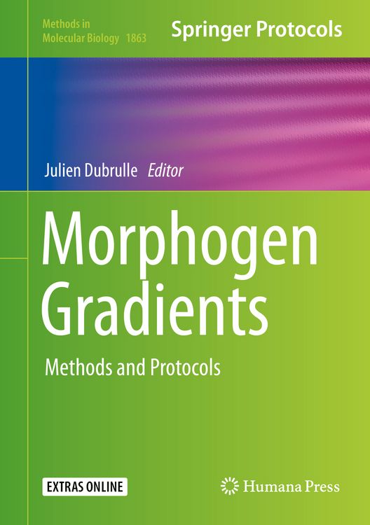 Produktbild: Morphogen Gradients