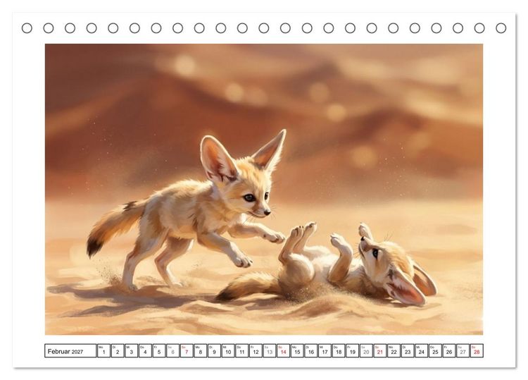 Produktbild: Fenneks - Neugierige Momente in der W&uuml;ste (Tischkalender 2027 DIN A5 quer), CALVENDO Monatskalender