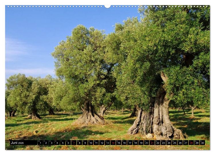 Produktbild: Apulien (Wandkalender 2026 DIN A2 quer), CALVENDO Monatskalender