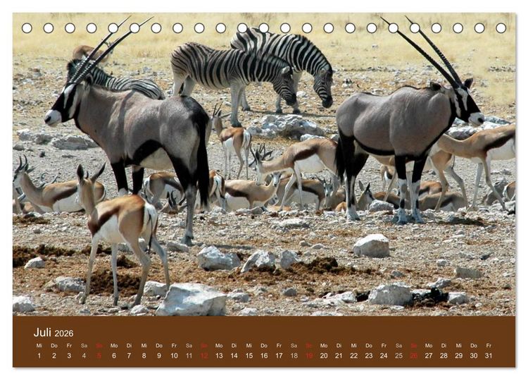 Produktbild: Namibia - faszinierende Menschen und Tiere (Tischkalender 2026 DIN A5 quer), CALVENDO Monatskalender