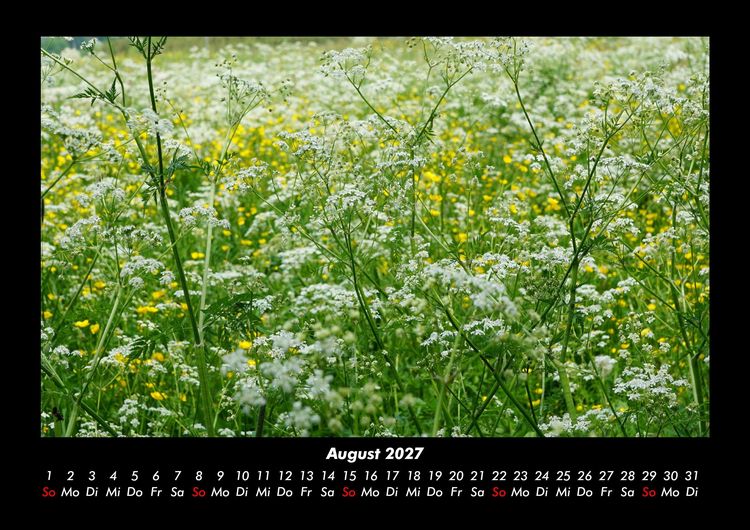 Produktbild: Blumenkalender 2027 Fotokalender DIN A3