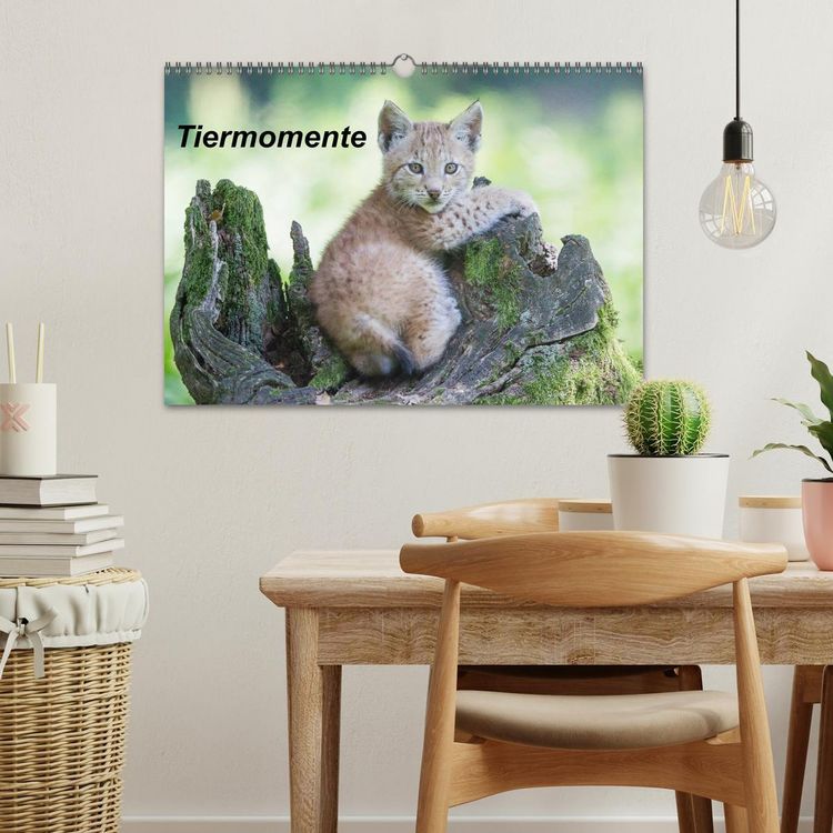 Produktbild: Tiermomente (Wandkalender 2026 DIN A3 quer), CALVENDO Monatskalender
