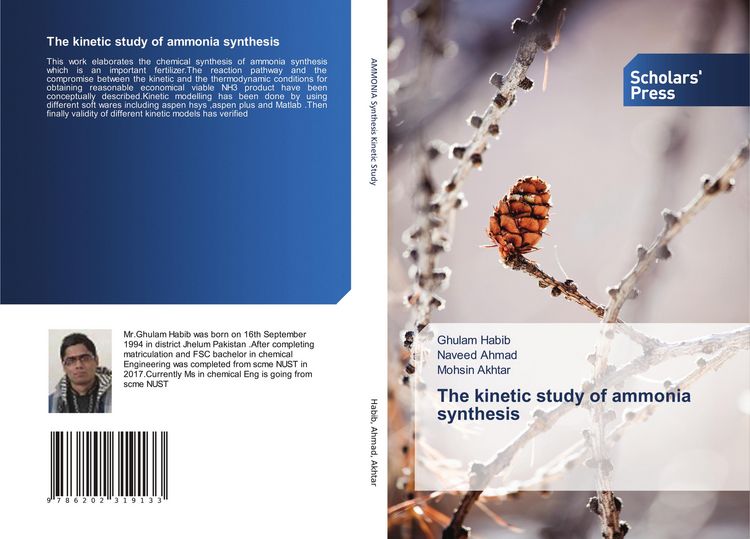 Produktbild: The kinetic study of ammonia synthesis