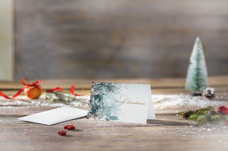 Produktbild: W'Karten Eucalyptus A6 25+25