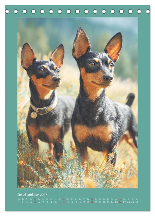 Produktbild: Mini-Pinscher. Kleine Hunde in sch&ouml;nen Momenten (Tischkalender 2027 DIN A5 hoch), CALVENDO Monatskalender