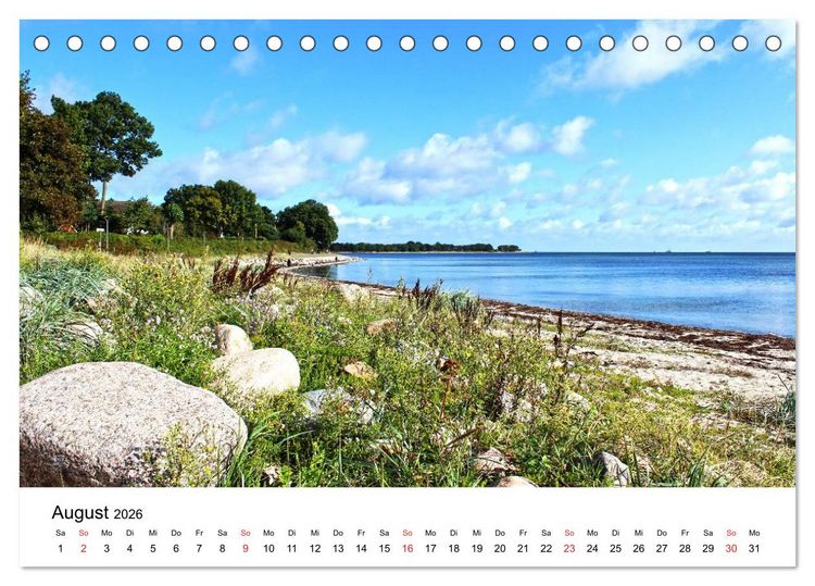 Produktbild: Strande und B&uuml;lk 2026 (Tischkalender 2026 DIN A5 quer), CALVENDO Monatskalender