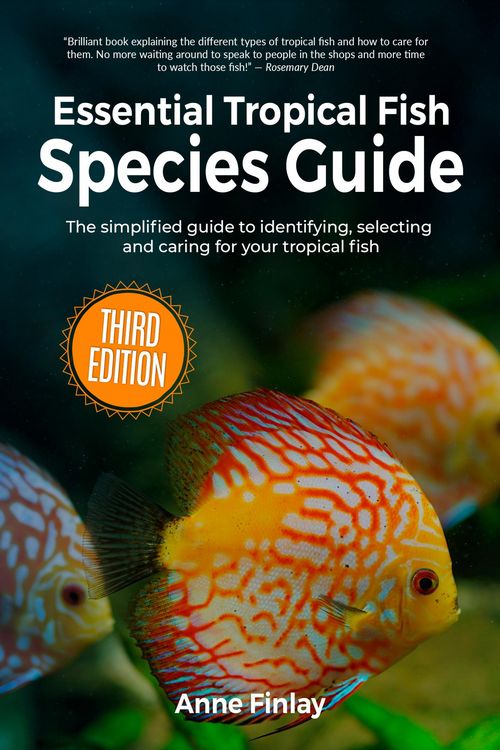Produktbild: Essential Tropical Fish Species Guide