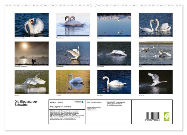 Produktbild: Die Eleganz der Schw&auml;ne (hochwertiger Premium Wandkalender 2026 DIN A2 quer), Kunstdruck in Hochglanz