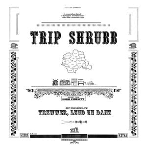Produktbild: Trewwer,Leud un Danz