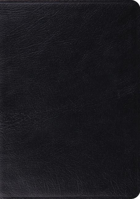 Produktbild: Study Bible-ESV
