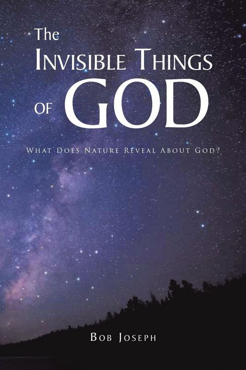 Produktbild: The Invisible Things of God