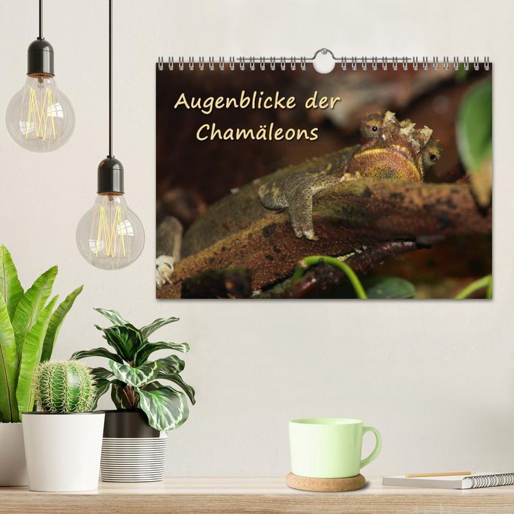 Produktbild: Augenblicke der Cham&auml;leons (Wandkalender 2026 DIN A4 quer), CALVENDO Monatskalender