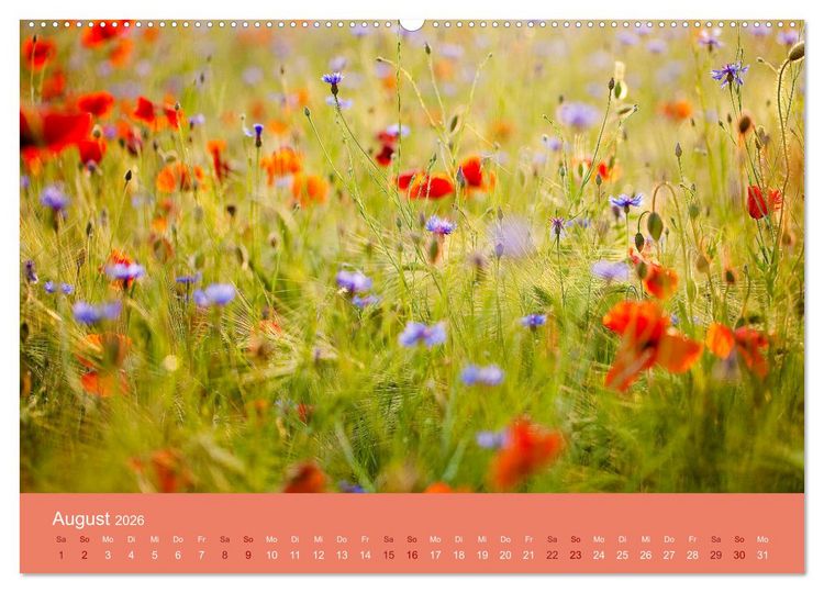 Produktbild: Farbwechsel - Die Farben der vier Jahreszeiten (hochwertiger Premium Wandkalender 2026 DIN A2 quer), Kunstdruck in Hochglanz