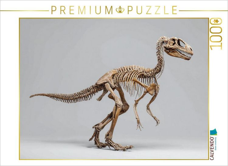 Produktbild: CALVENDO Puzzle Deinonychus-Skelett - Raubsaurier mit Kletterkrallen | 1000 Teile Lege-Gr&ouml;&szlig;e 64x48cm Foto-Puzzle f&uuml;r gl&uuml;ckliche Stunden
