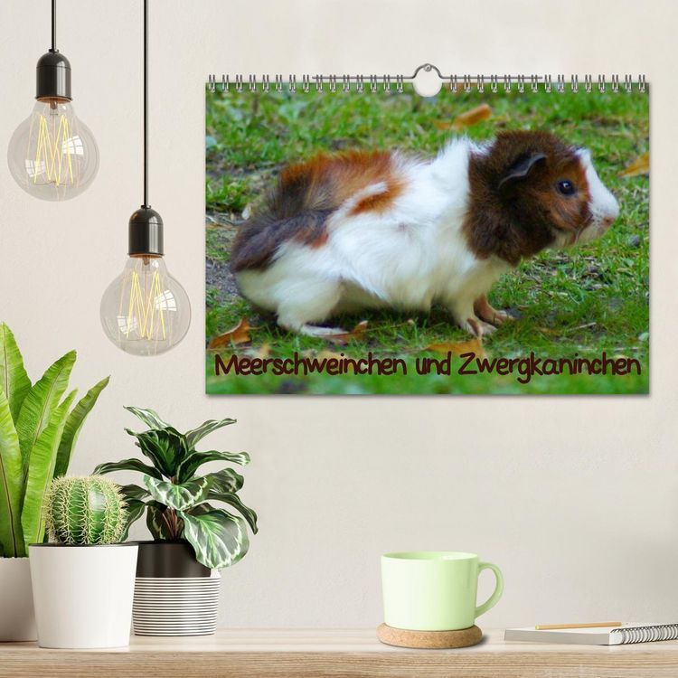 Produktbild: Meerschweinchen und Zwergkaninchen (Wandkalender 2026 DIN A4 quer), CALVENDO Monatskalender