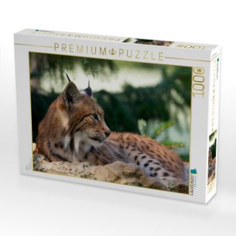 Produktbild: CALVENDO Puzzle Relax | 1000 Teile Lege-Gr&ouml;&szlig;e 64x48cm Foto-Puzzle f&uuml;r gl&uuml;ckliche Stunden