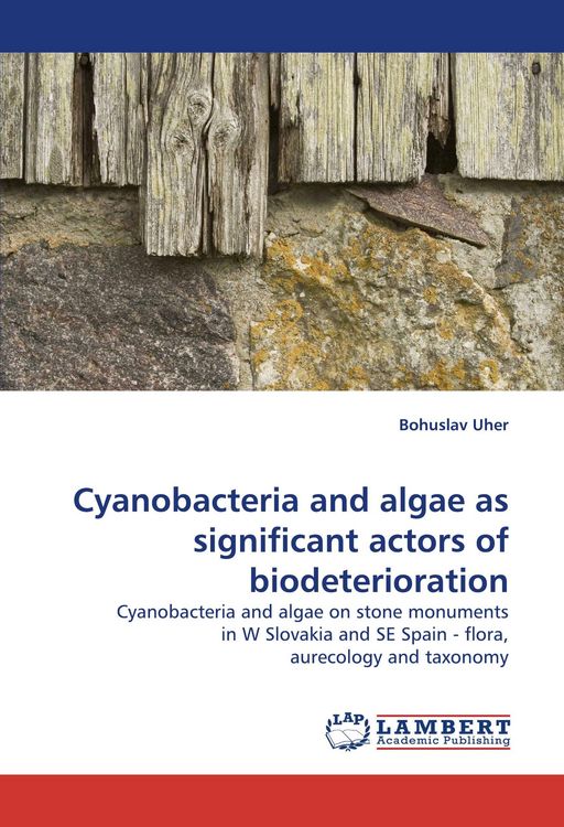 Produktbild: Cyanobacteria and algae as significant actors of biodeterioration