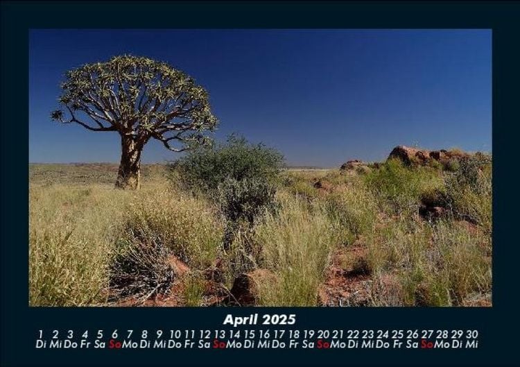 Produktbild: B&auml;ume 2025 Fotokalender DIN A5