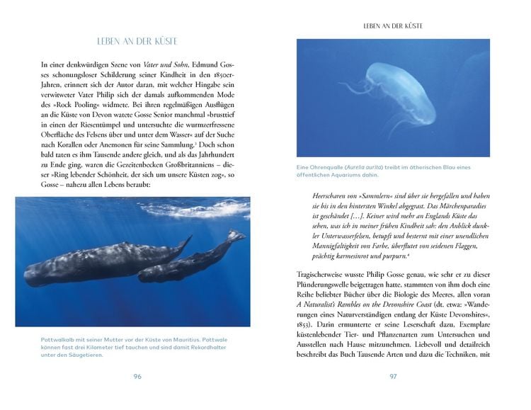 Produktbild: Das Meer