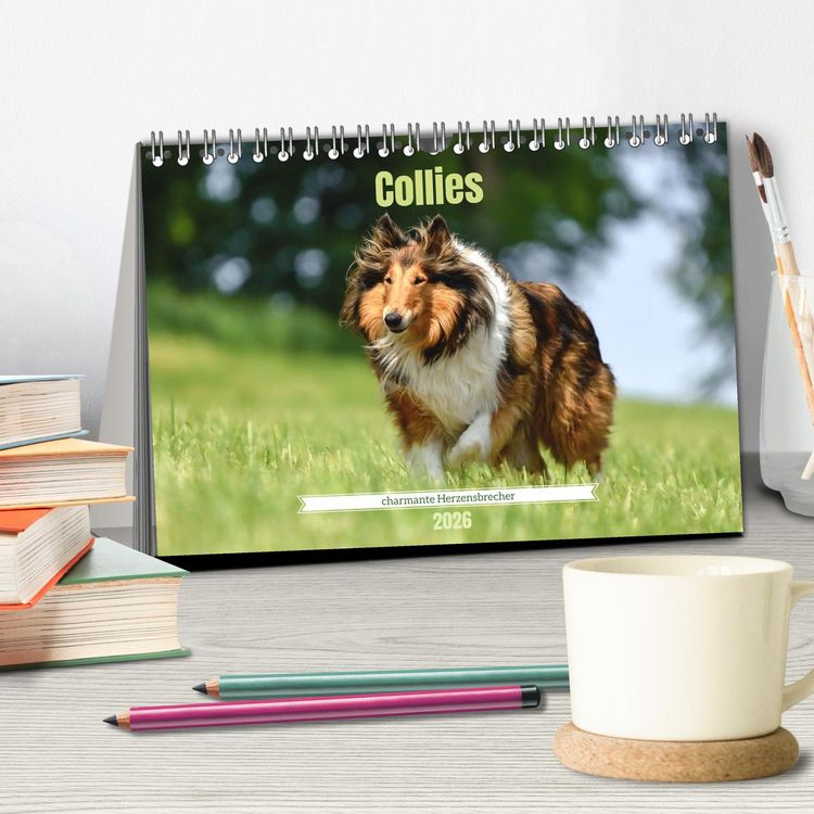 Produktbild: Collies - charmante Herzensbrecher (Tischkalender 2026 DIN A5 quer), CALVENDO Monatskalender