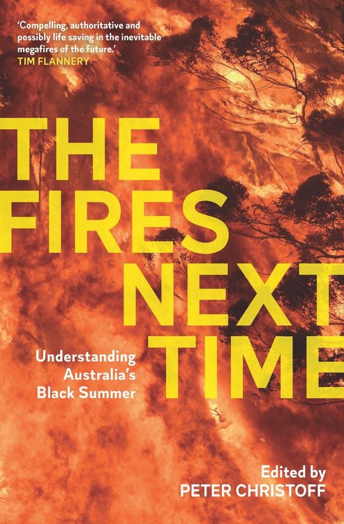 Produktbild: Fires Next Time