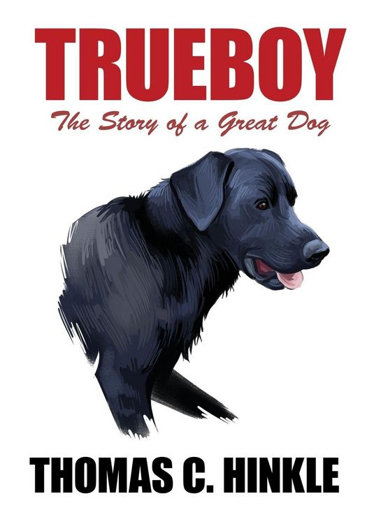Produktbild: Trueboy