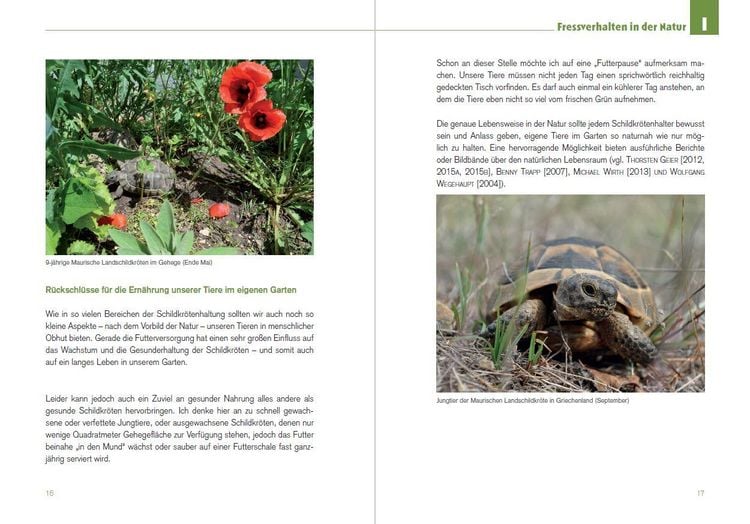 Produktbild: Der Schildkr&ouml;ten-G&auml;rtner - Naturnahe Ern&auml;hrung Europ&auml;ischer Landschildkr&ouml;ten
