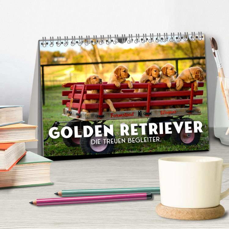 Produktbild: Golden Retriever - Die treuen Begleiter. (Tischkalender 2026 DIN A5 quer), CALVENDO Monatskalender