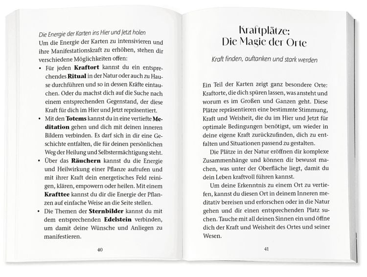 Produktbild: Das heilende Orakel der Rauhn&auml;chte