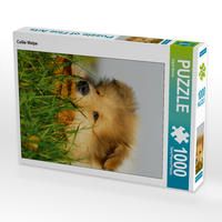 Produktbild: CALVENDO Puzzle Collie Welpe 1000 Teile Lege-Gr&ouml;&szlig;e 48 x 64 cm Foto-Puzzle Bild von Sigrid Starick