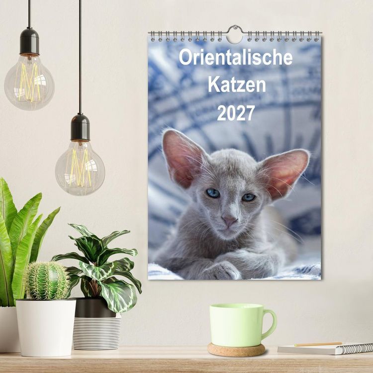 Produktbild: Orientalische Katzen 2027 (Wandkalender 2027 DIN A4 hoch), CALVENDO Monatskalender