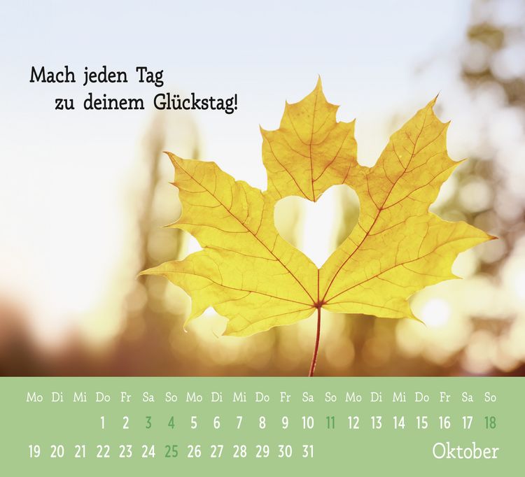Mini-Wandkalender 2025–2026 – 16,4 X 21,6 Cm, 16 Monate Planung Für Schreibtisch, Küche & Reisen