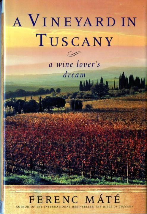 Produktbild: Vineyard in Tuscany