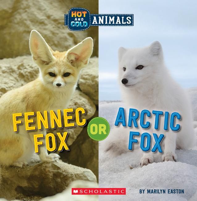 Produktbild: Fennec Fox or Arctic Fox (Wild World: Hot and Cold Animals)