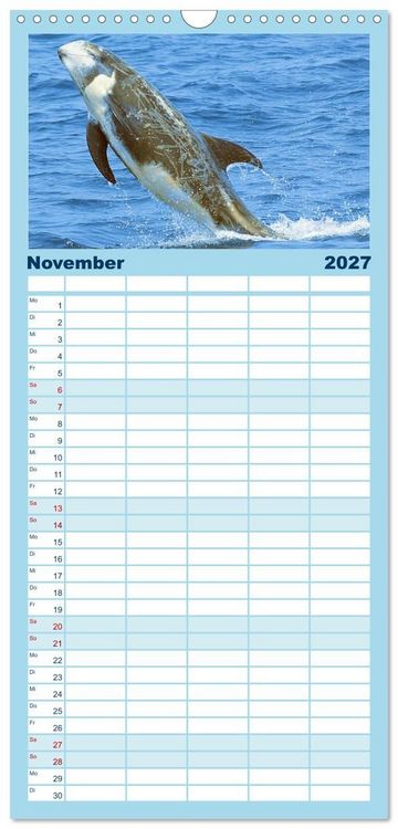 Produktbild: Familienplaner 2027 - Delfine: Elegante Wellenreiter mit 5 Spalten (Wandkalender, 21 x 45 cm) CALVENDO