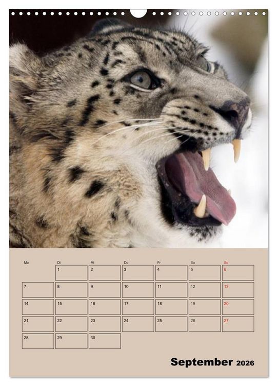 Produktbild: Gro&szlig;katzen. Raubkatzengesichter (Wandkalender 2026 DIN A3 hoch), CALVENDO Monatskalender