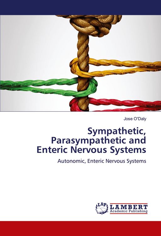 Produktbild: Sympathetic, Parasympathetic and Enteric Nervous Systems