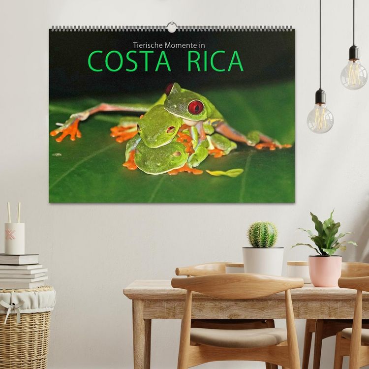 Produktbild: COSTA RICA - Tierische Momente (Wandkalender 2026 DIN A2 quer), CALVENDO Monatskalender