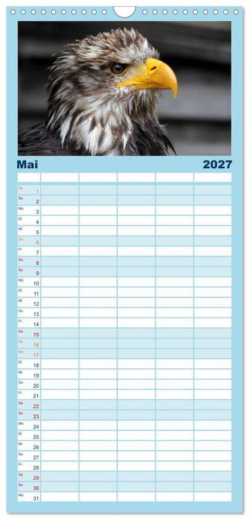 Produktbild: Familienplaner 2027 - Greifv&ouml;gel, Eulen und K&auml;uze mit 5 Spalten (Wandkalender, 21 x 45 cm) CALVENDO