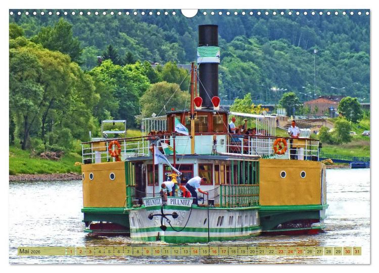 Produktbild: Seitenraddampfer &ndash; In Sachsen von K&ouml;nigstein bis Bad Schandau (Wandkalender 2026 DIN A3 quer), CALVENDO Monatskalender