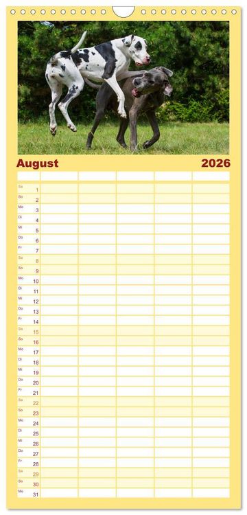 Produktbild: Familienplaner 2026 - Deutsche Dogge mit 5 Spalten (Wandkalender, 21 x 45 cm) CALVENDO