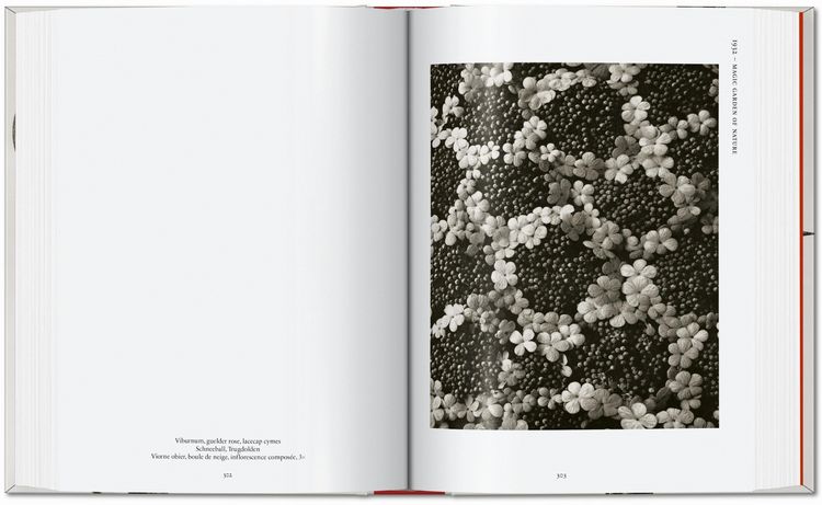 Produktbild: Karl Blossfeldt. The Complete Published Work. 45th Ed.