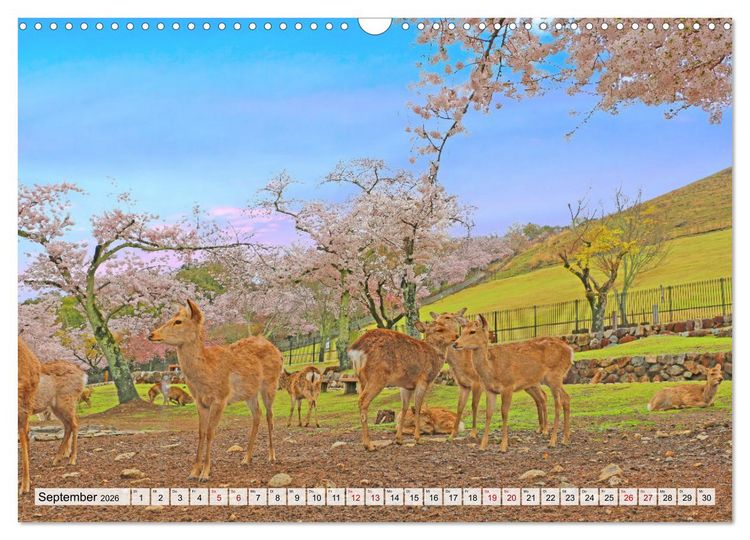 Produktbild: Japan das Land der aufgehenden Sonne (Wandkalender 2026 DIN A3 quer), CALVENDO Monatskalender