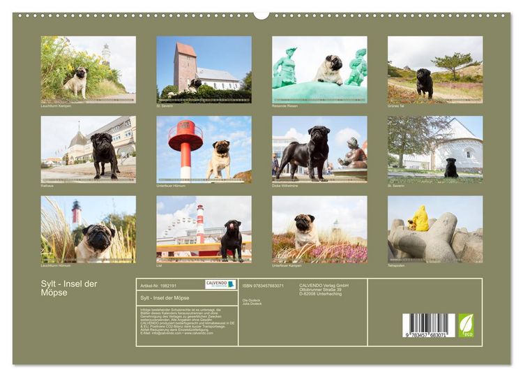Produktbild: Sylt - Insel der M&ouml;pse (hochwertiger Premium Wandkalender 2026 DIN A2 quer), Kunstdruck in Hochglanz
