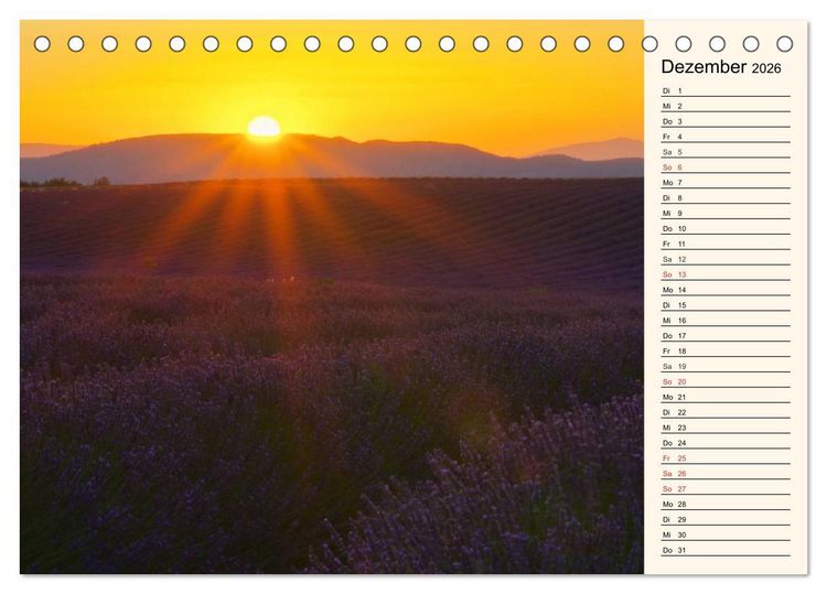 Produktbild: Lavendel (Tischkalender 2026 DIN A5 quer), CALVENDO Monatskalender