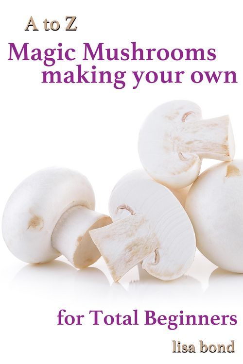 Produktbild: A to Z Magic Mushrooms Making Your Own for Total Beginners